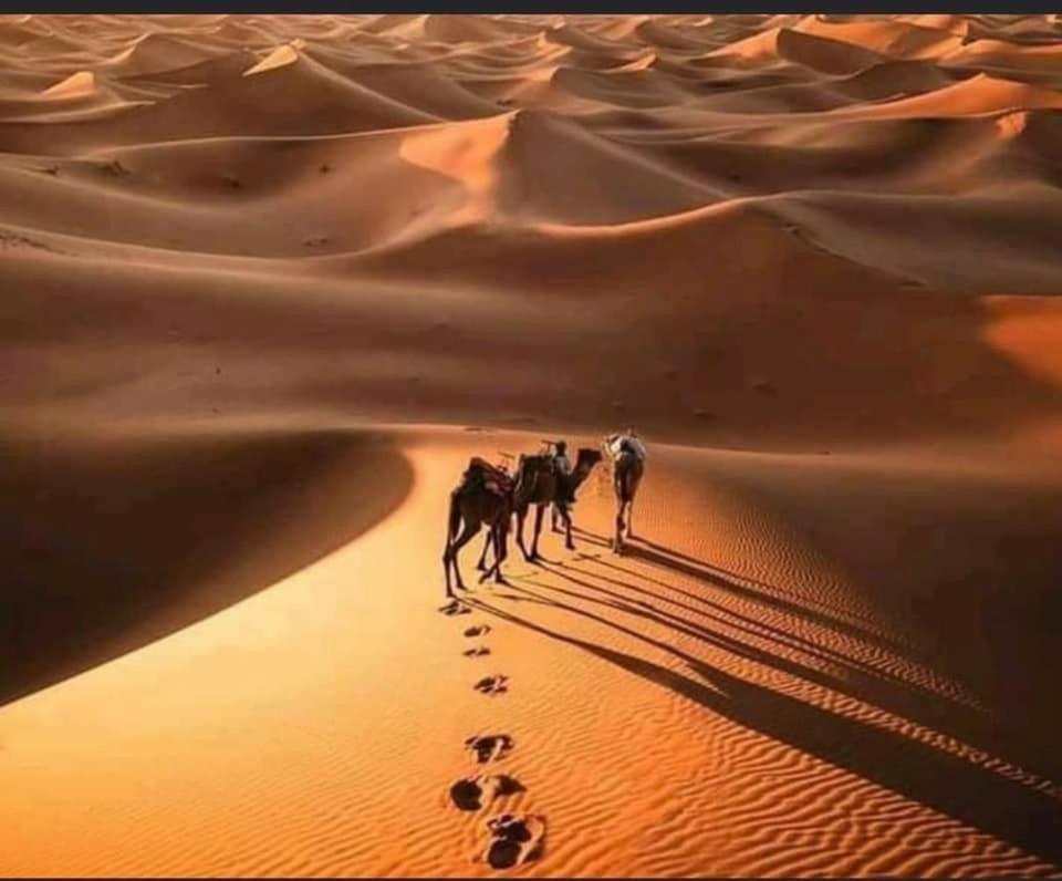 Camp Desert Bivouac Chegaga El Gouera المظهر الخارجي الصورة