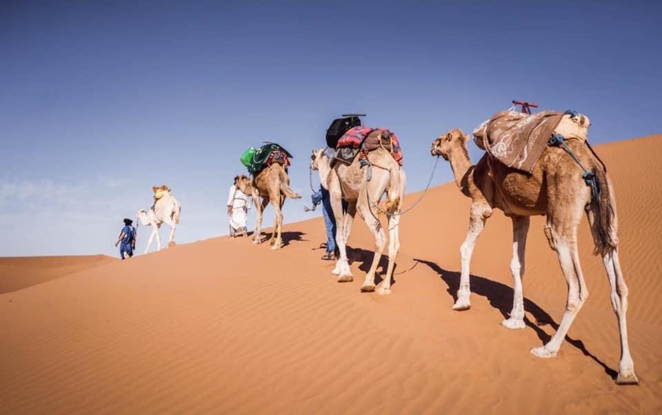 Camp Desert Bivouac Chegaga El Gouera المظهر الخارجي الصورة