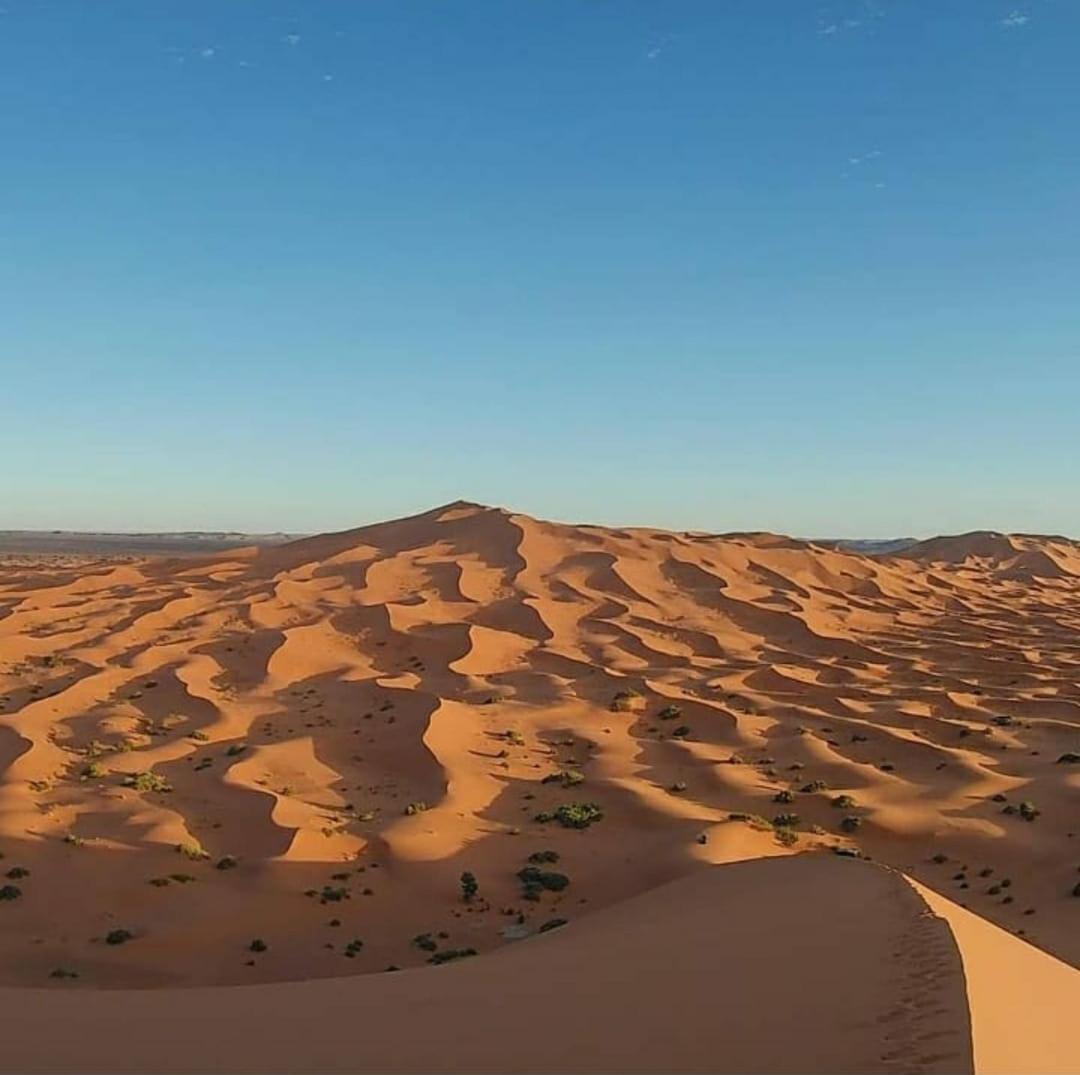 Camp Desert Bivouac Chegaga El Gouera المظهر الخارجي الصورة