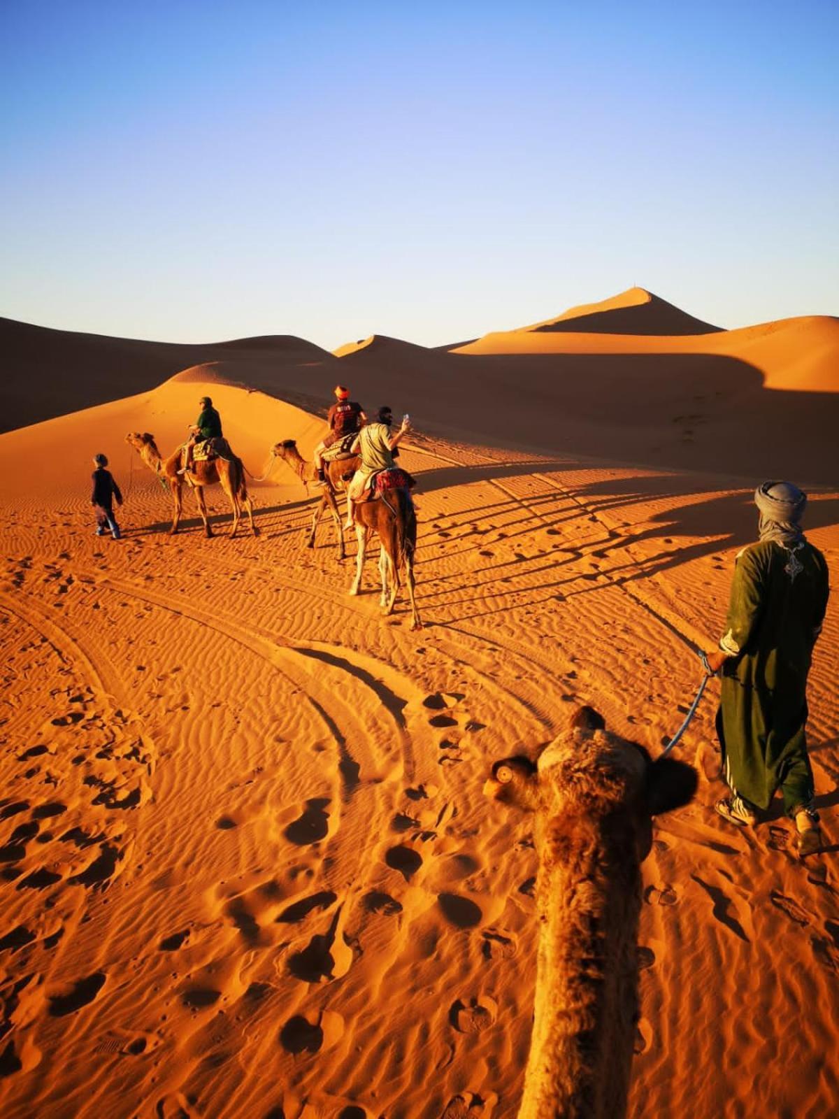 Camp Desert Bivouac Chegaga El Gouera المظهر الخارجي الصورة