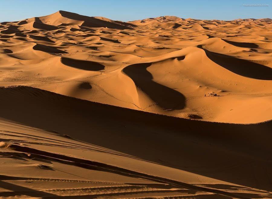 Camp Desert Bivouac Chegaga El Gouera المظهر الخارجي الصورة