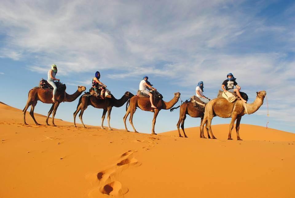 Camp Desert Bivouac Chegaga El Gouera المظهر الخارجي الصورة