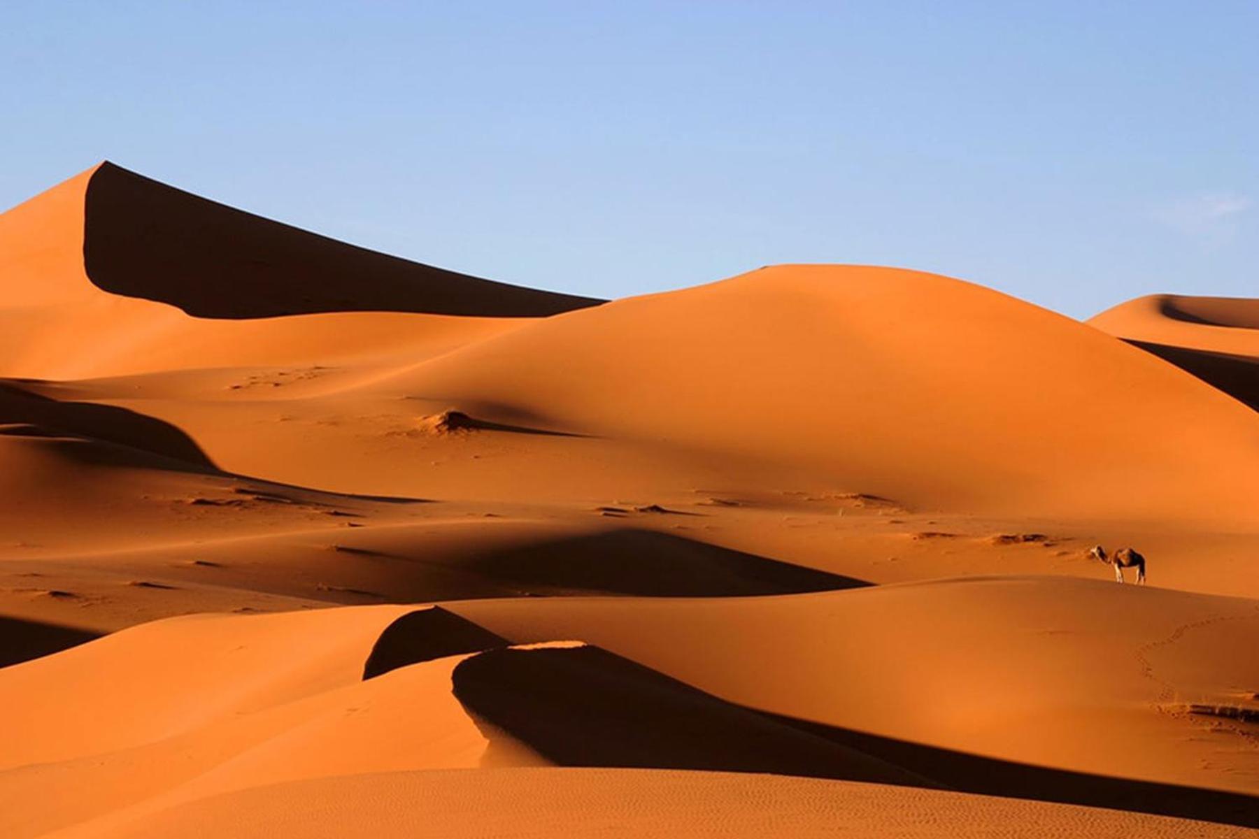 Camp Desert Bivouac Chegaga El Gouera المظهر الخارجي الصورة