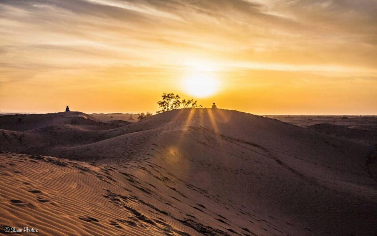 Camp Desert Bivouac Chegaga El Gouera المظهر الخارجي الصورة