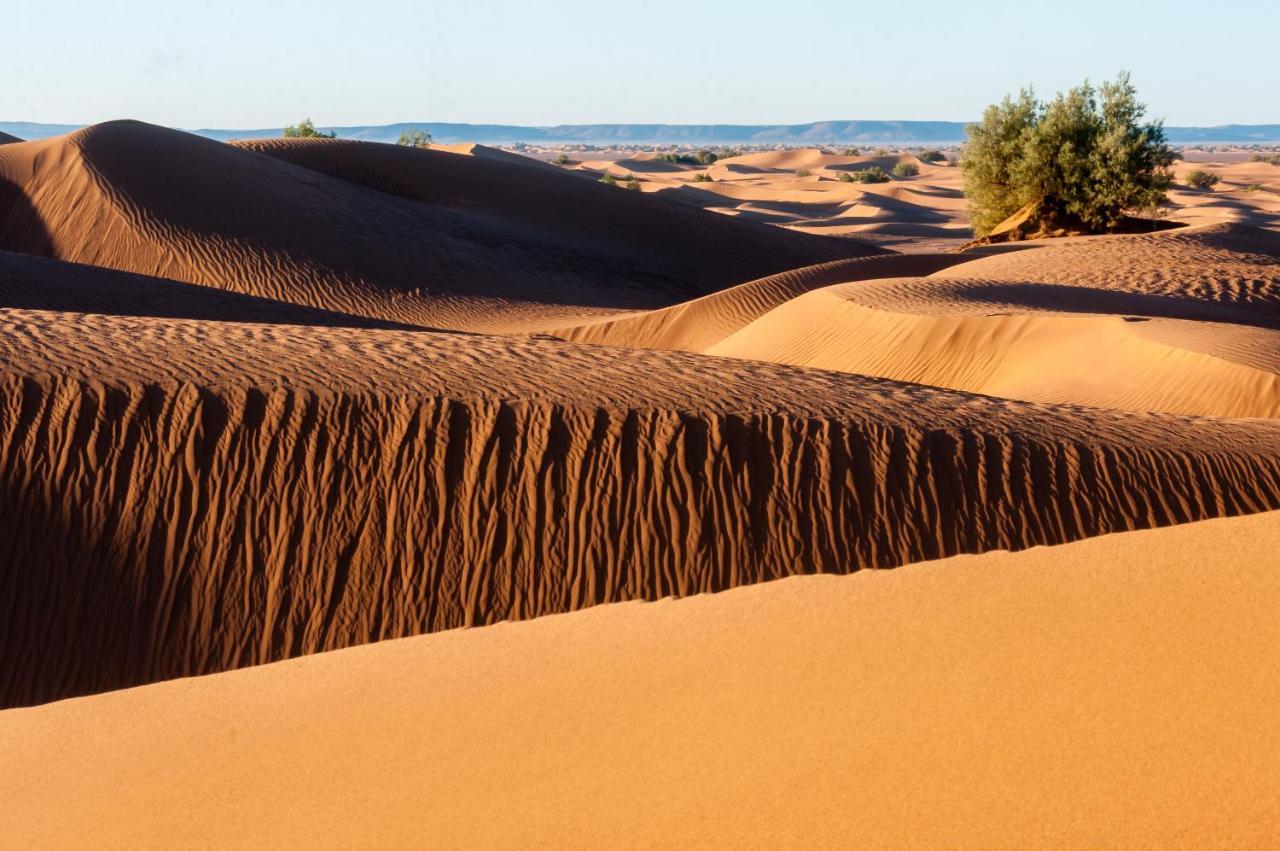 Camp Desert Bivouac Chegaga El Gouera المظهر الخارجي الصورة